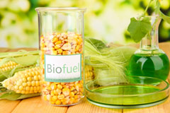 Porth biofuel availability